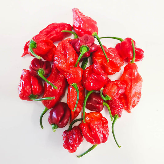 Hottie Box – The Hottest Fresh Chillies